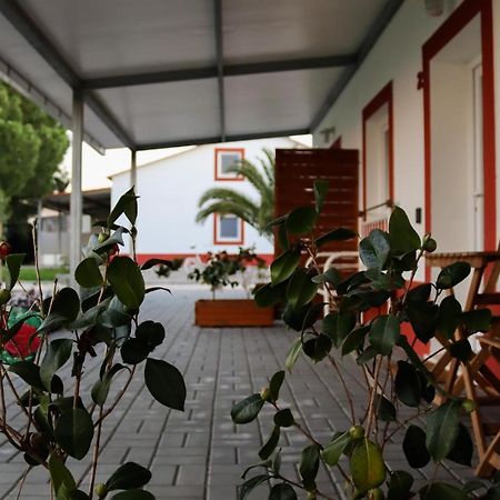 Casa Das Pipas #2 Пиньял-Нову Экстерьер фото